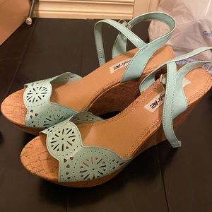 Aqua Mint Wedges